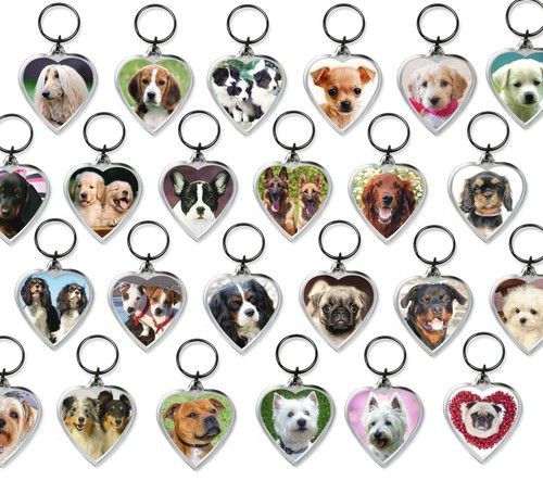 Dog keyrings heart shape - dog,