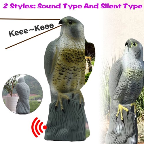 Realistic bird scarer eagle - bird,