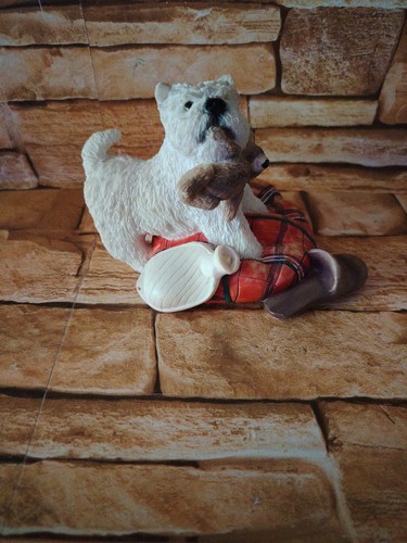 West highland terrier - highland, (westie)
