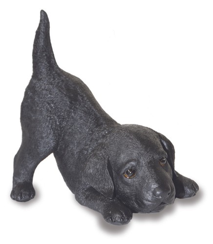 Black labrador dog - labrador, ornament