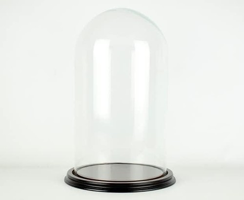 Glass dome display - display, with