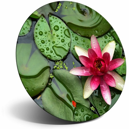 Awesome fridge magnet pink - awesome,