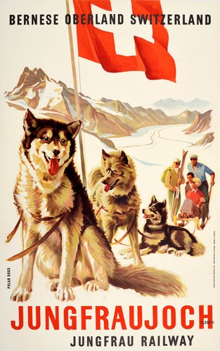 Jungfraujoch switzerland husky - jungfraujoch,