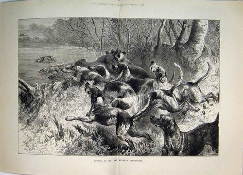Old antique print 1883 - old,