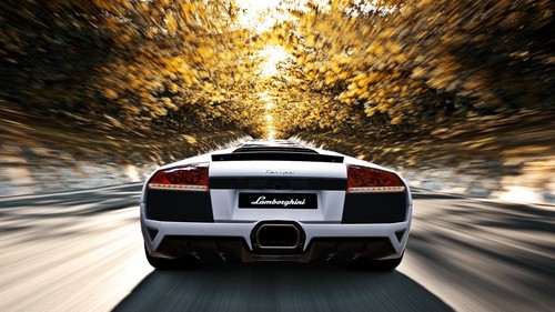 Lamborghini murcielago car - lamborghini,