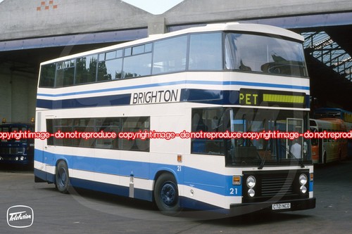 Bus photo brighton - photo, borough