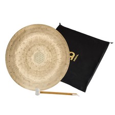 Meinl Wind Gong 12" Sonic