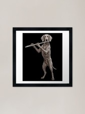 Weimaraner Playing Flute