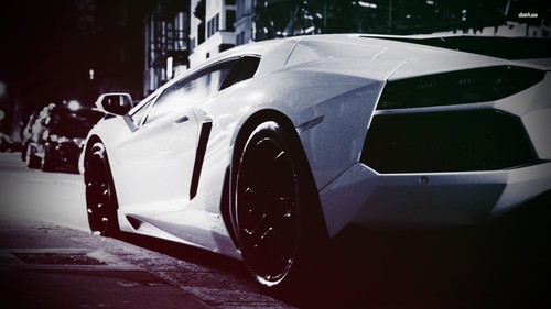 Lamborghini car white cars