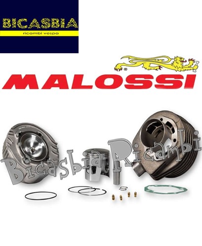 13994 malossi cast iron - 13994,
