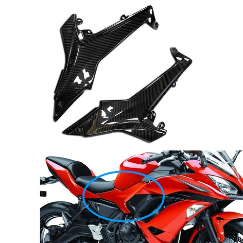 Fsh 100 carbon - carbon, fiber