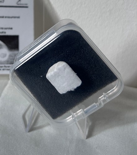 Genuine nasa space shuttle - genuine,