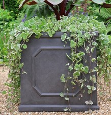 45cm Chelsea Box Planter Plant