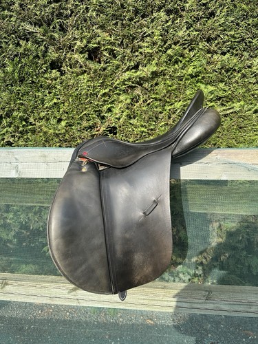 Albion saddle - albion, gp