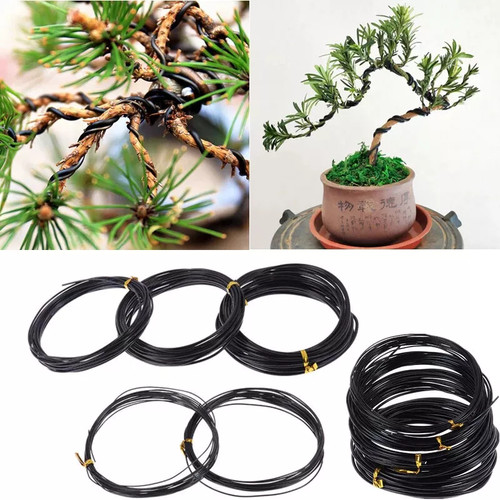 Black aluminum bonsai - aluminum,