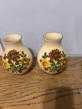 Pair of Sylvac Autumn Chintz