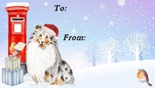Shetland Sheepdog/Sheltie Merle Dog Christmas Labels by Starprint (42 labels)