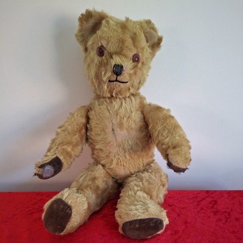 Pedigree 1950s teddy bear - pedigree,