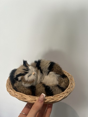 Vintage realistic fur - fur, kitten