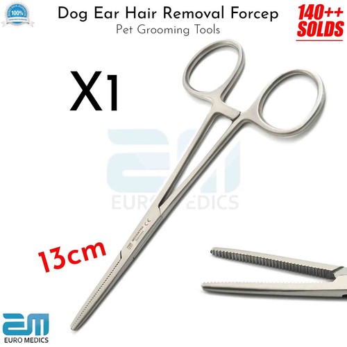 Dog cat ear hair - dog,