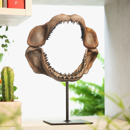 Megalodon shark jaw hand - shark,