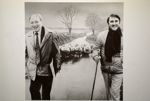 Postcard leading the party - postcard,