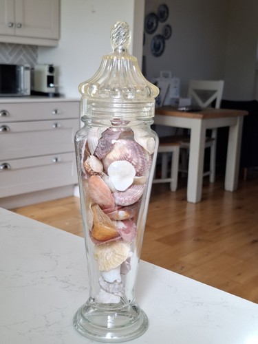 Vintage shell filled - vintage,