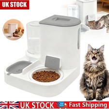 2 In 1 Automatic Cat Feeder