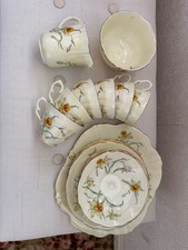 Crown Staffordshire daffodil floral Tea Set Multicoloured China 21 Piece Set