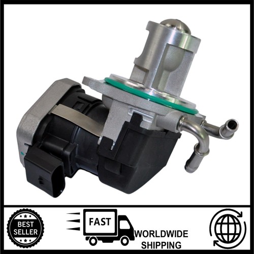 Egr valve for - valve,