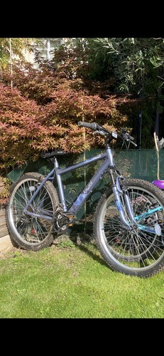 Ladies mountain bike - mountain,