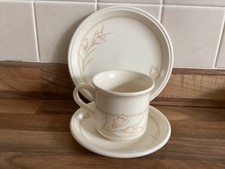 Vintage Biltons Coloroll Spring Bouquet Crocus Pattern Trio Cup Saucer & Plate