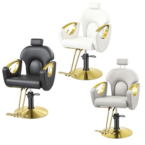 Professional barber chair - professional,