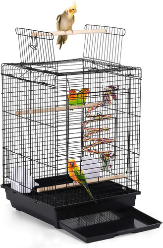 Bird cage metal open - bird, top