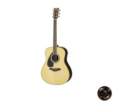 Yamaha Acoustic Guitar Lefty