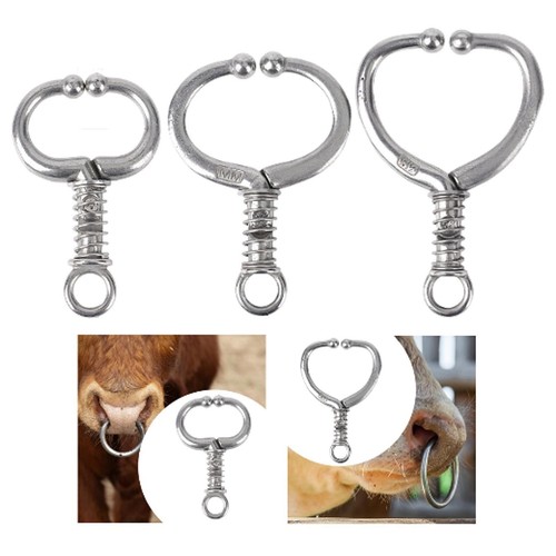 Bull nose ring for - ring, cattle