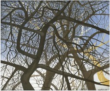 Photo dvd art mix painters