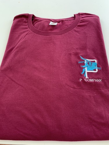 Parachute regiment company - parachute,