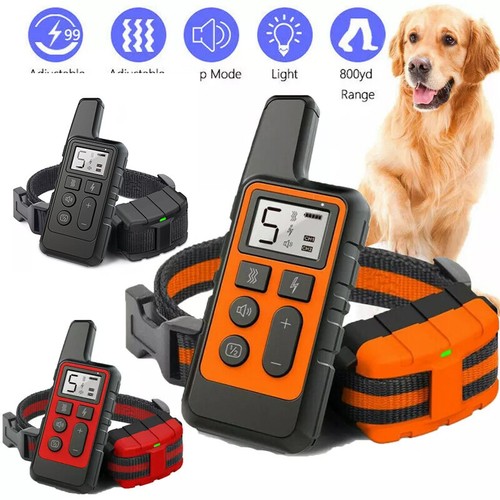 Dog training collar - dog,