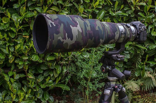 Sigma 500mm sport - sigma, dg