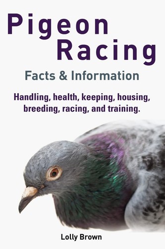 Pigeon racing handling health - racing,