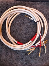 Atlas Equator MKII Speaker