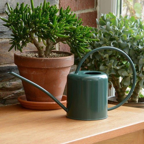 Indoor small green watering - small,