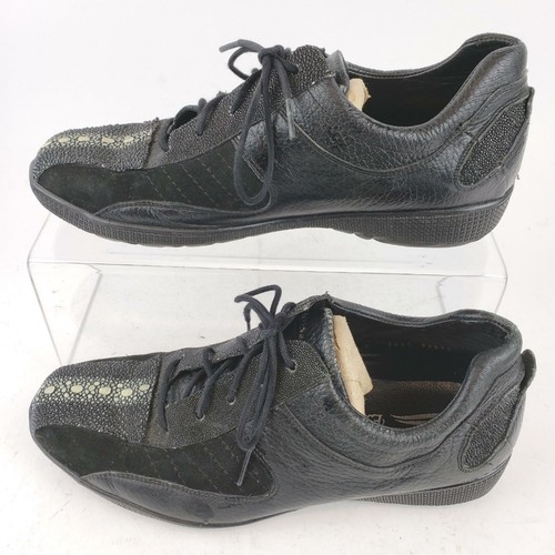 Los altos exotic stingray - altos,