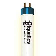 iQuatics Aquarium Fish Tank