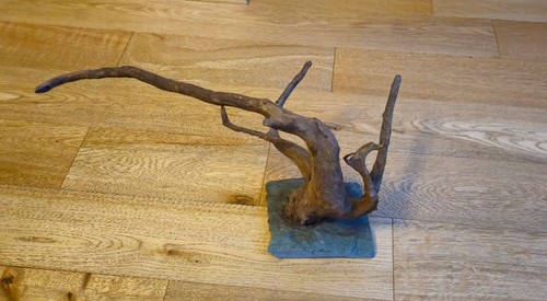 Red moor wood root slate - root, on