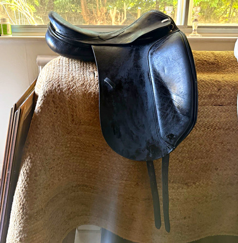 Jaguar harry dabbs dressage - jaguar,