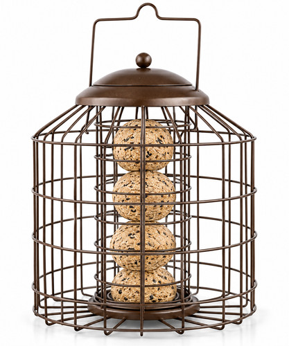 Squirrel proof hanging bird - squirrel,