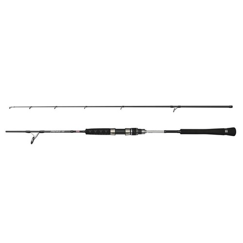 Penn prevail iii jigging spin - iii,