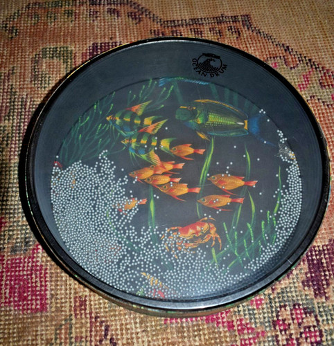 Remo ocean drum - drum, fish